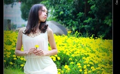 快播电影 艺术片